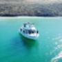 La Paz Yacht Charter 54 Ft