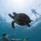 Activities-in-Los-Cabos