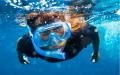 Snorkeling in Cabo San Lucas
