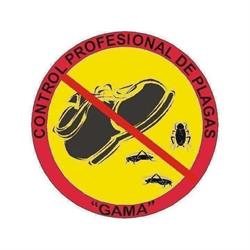 Control Profesional De Plagas Gama