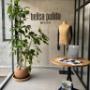 BelisaPulidoStudio_01