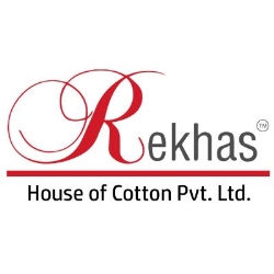 Mexico Election Tshirts - Rekhas House of Cotton