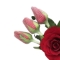 Imagen20
