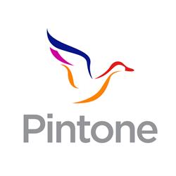 Pintone Innovación, Grupo Pintone