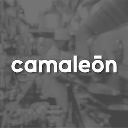 Corporativo Grupo Camaleón