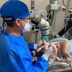 Clinica Veterinaria Piedras Negras