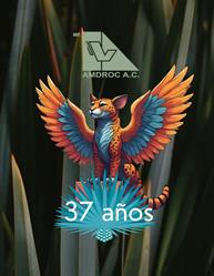 Amdroc D.F.