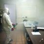 Sanitizacion
