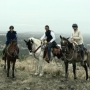 At the summit