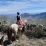 Mountain vew