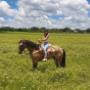horseback riding