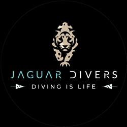Jaguar Divers - Dive Shop in Playa del Carmen