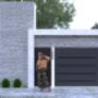 diseño de fachada Gpe N.L.