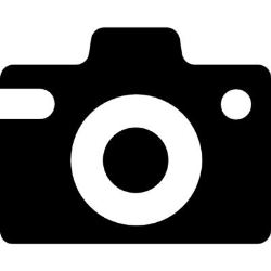 Fotos Click Conejo