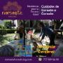 Gimnasia Cerebral en Namaste Home Living