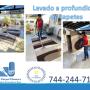 LAVADO PROFUNDO DE TAPETES