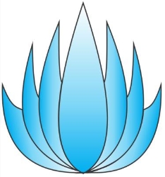 Energía Escali
