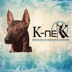 Atención Veterinaria Integral