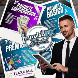 Impulso Digital MX (Agencia de Publicidad y Marketing)