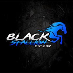 CF Black Stallion