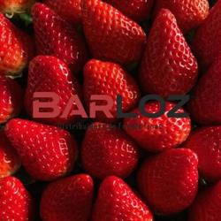 Barloz Tijuana