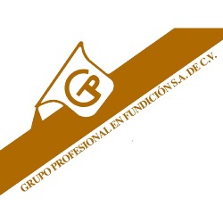 GRUPO PROFESIONAL EN FUNDICION