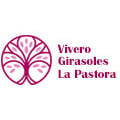 Vivero Girasoles La Pastora