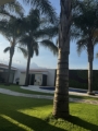 Pasto Residencial