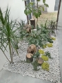 Jardines