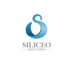 Siliceo & Asociados Despacho Contable