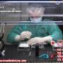 Laboratorio de Recuperación de Datos
