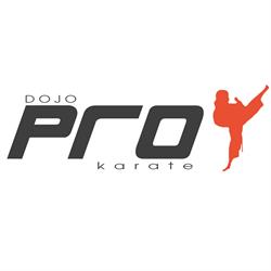 Dojo Pro karate