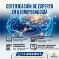 NEUROPEDAGOGÍA
