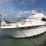 Sea Ray 47