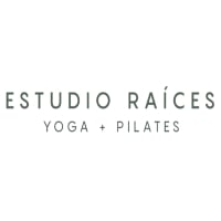 Estudio Raíces