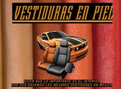 Vestiduras de piel Convers
