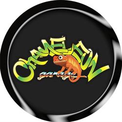 Chameleon Garage
