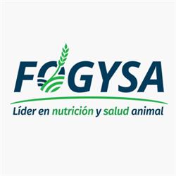 FOGYSA