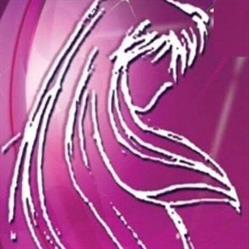 ACADEMIA DE BELLEZA Y ESTILISMO VELUU