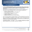 Curriculum