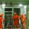 Proyecto-en-industria