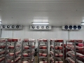 Cámaras de Congelación y Cámaras de Refrigeración