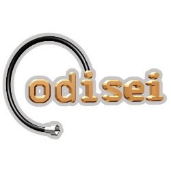 CODISEI S.A. DE C.V.