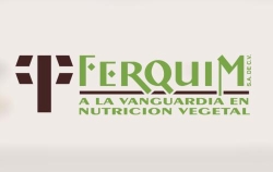FERQUIM S.A DE C.V