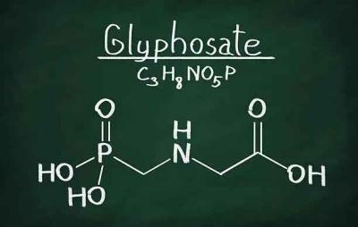 GLIFOSATO-ferquim