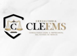 Consultoria CLEEMS