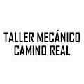Taller Mecánico Camino Real
