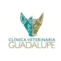 Clinica Veterinaria Guadalupe