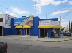 Casa Regina la Esquina Del Arte
