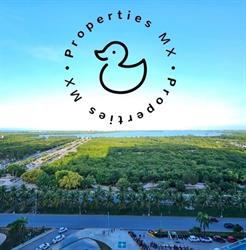 Properties Mx